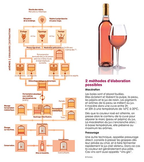 Schéma d'élaboration des vins rosés